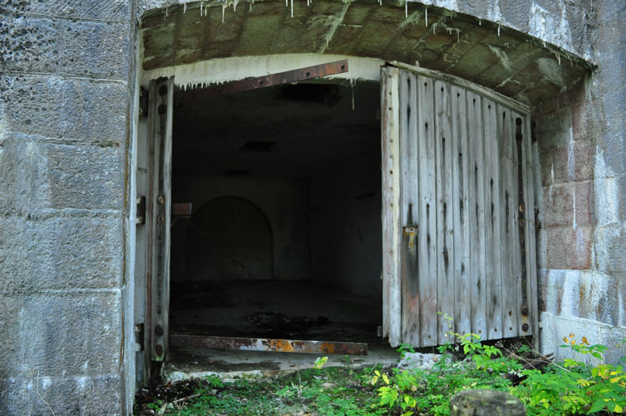 DSC_2359