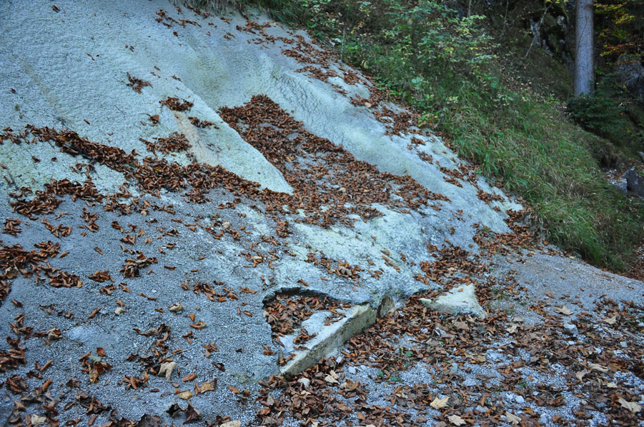 DSC_2611